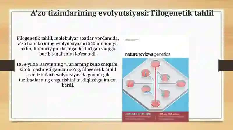 Tibbiy biologiya A'zolar sistemasining evolyusiyasi Irsiy kasalliklarning tasnifi 4