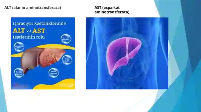 Qonda aminotransferazalar faolligini biokimyoviy analizatorda aniqlash 4