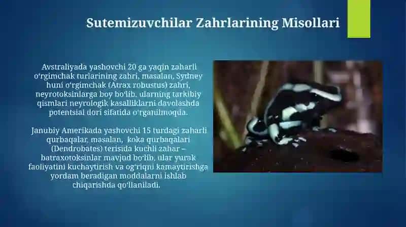 Baliq Zahrlarining Turli Xillari 4
