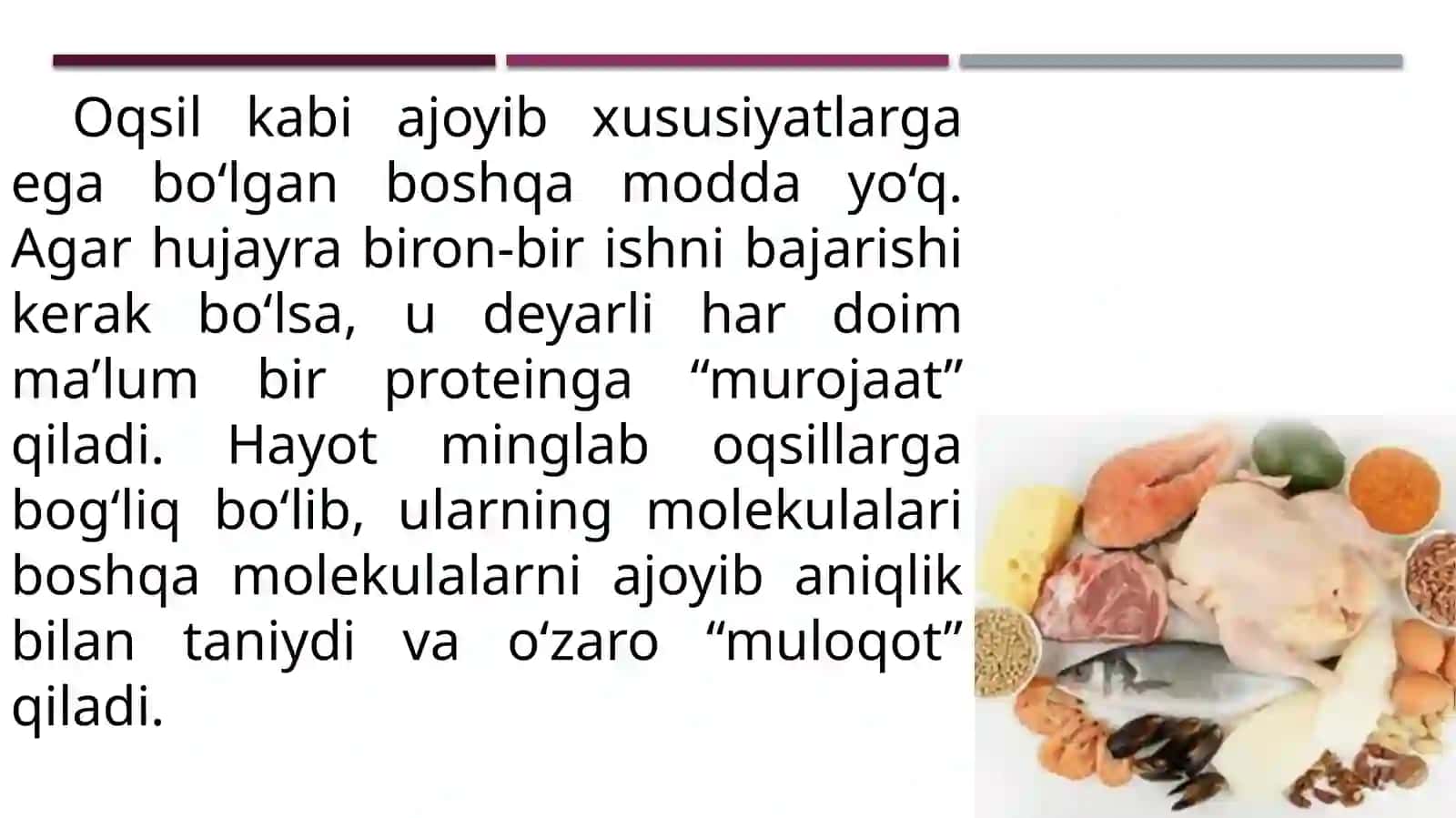 Oqsillar.Yog`lar.uglevodlar 4