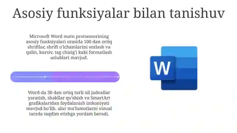 Microsoft Word 4