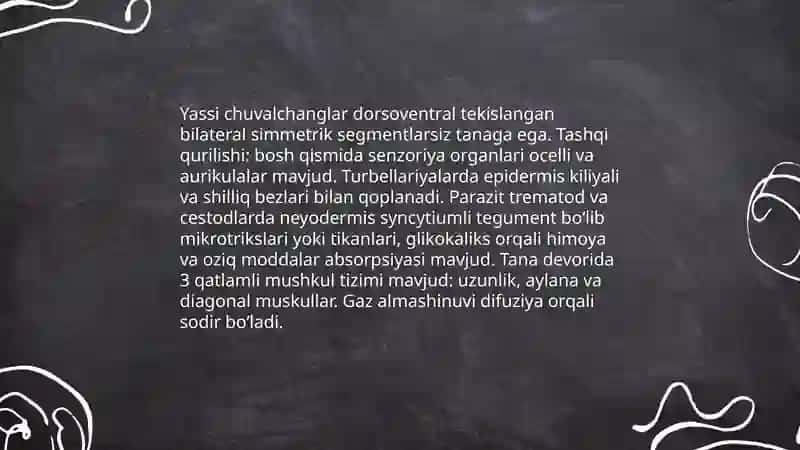 Yassi chuvalchanglar 4