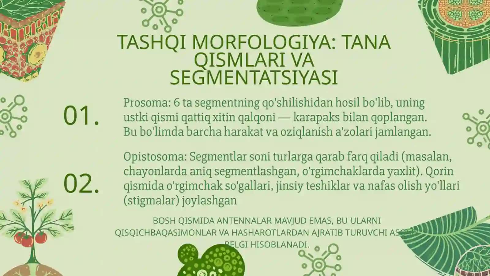 O'RGIMCHAKSIMONLAR OILASI 4