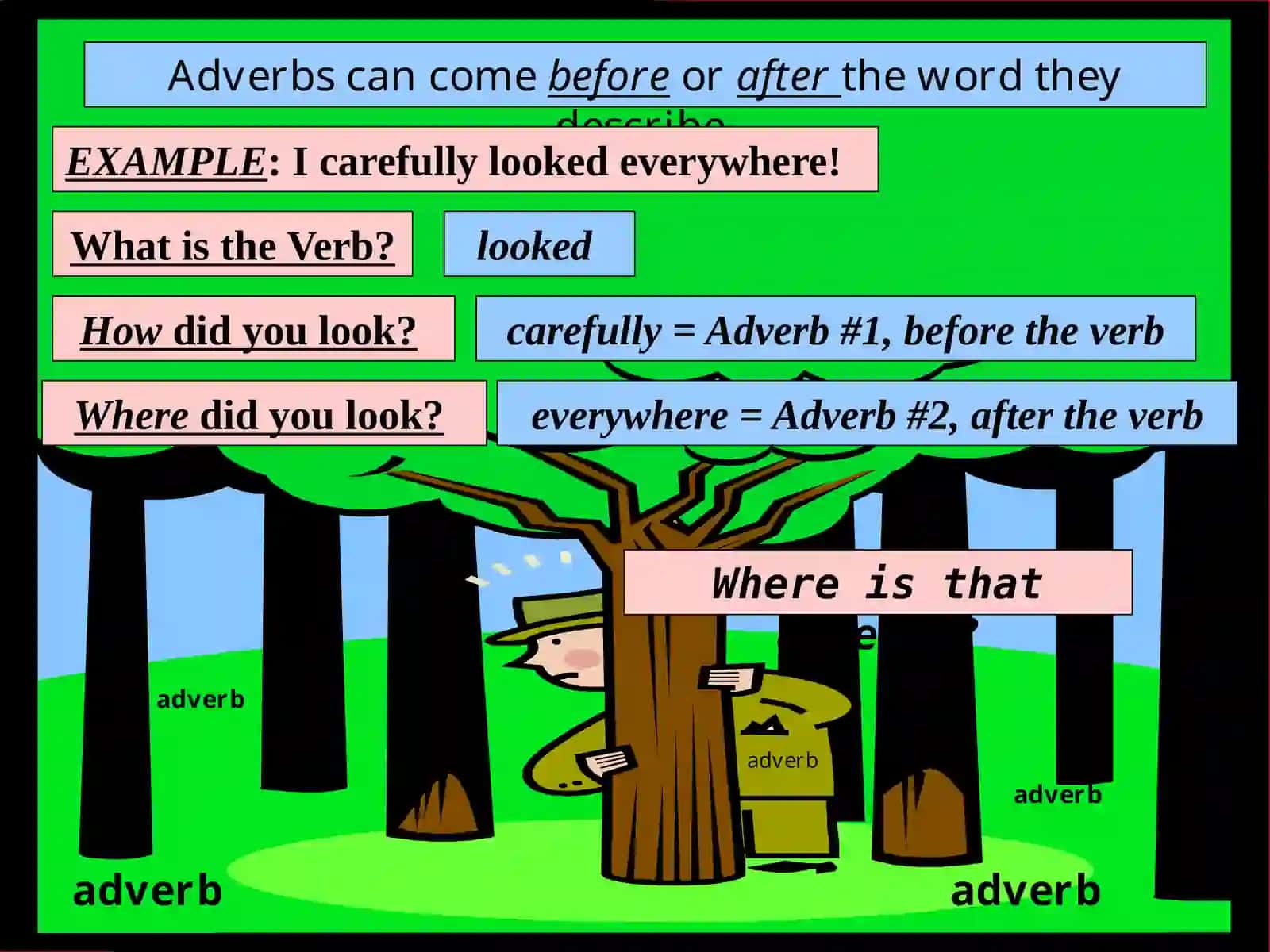 The Adverb 4