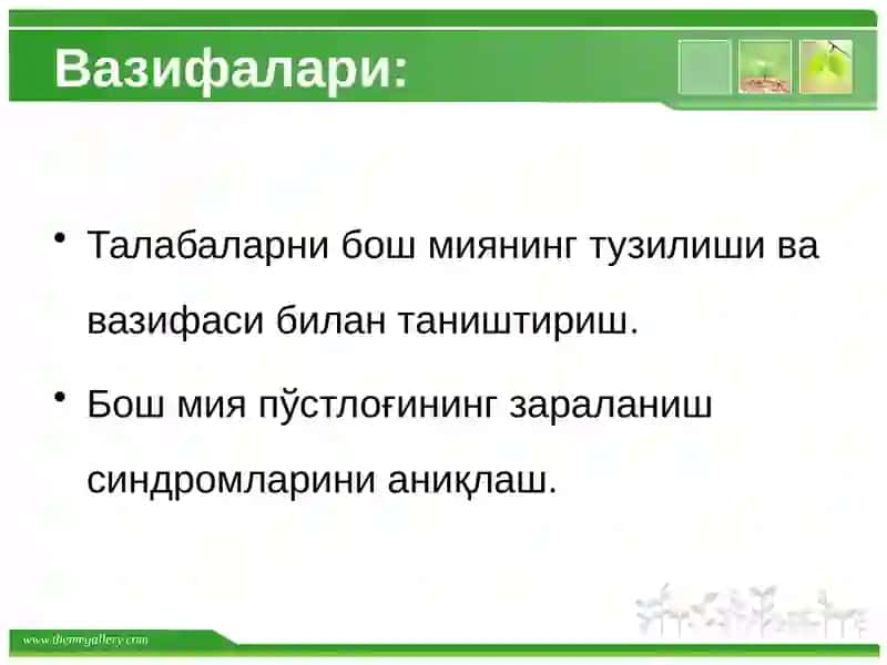 Бошмияпўстлоғи 4