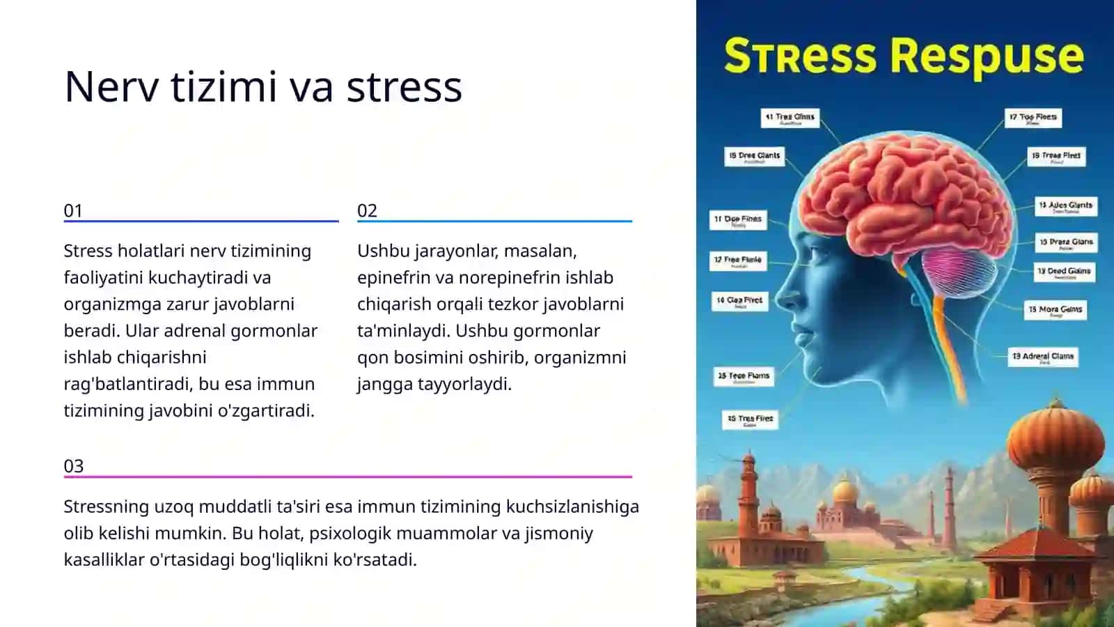 Reaktlik va rezistentlik shakllanishida nerv va endokrin tizimining roli 4