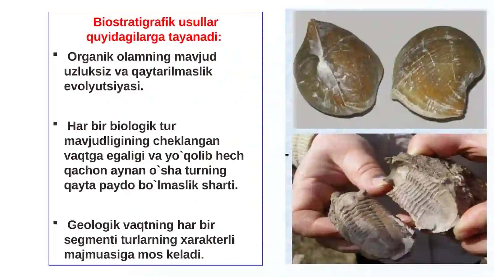 Stratigrafik metоdlar (uslublar): biоstratigrafik, litоlоgik, geоfizik va mutlоq yosh aniqlash uslublari 4