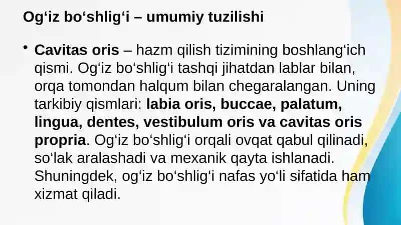 Splanxnologiyaga kirish. Og'iz bo'shlig'i va til anatomiyasi 4