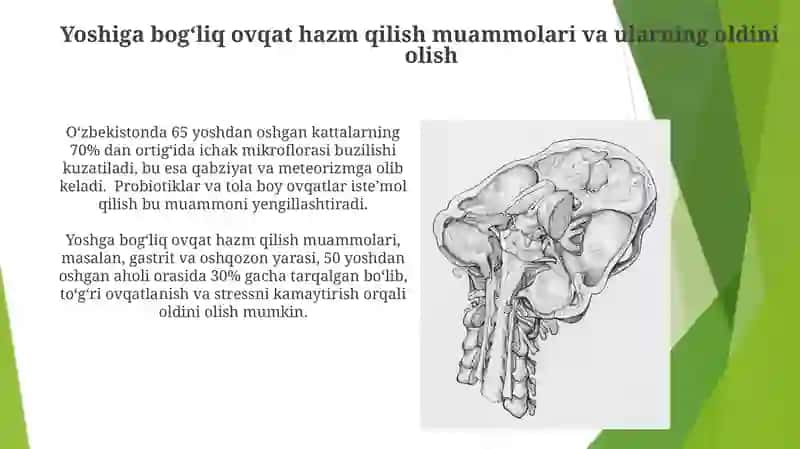 Ayirish tizimining yoshga oid fiziologiyasi va gigiyenasi 4