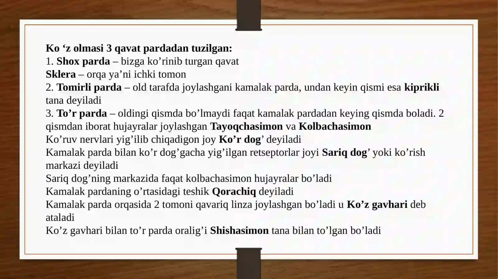 Ko’ruv analizatori fiziologiya 4