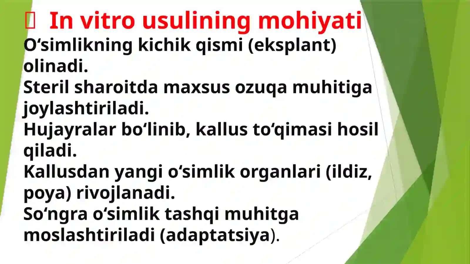 O’simlik hujayralarni in vitro yetishtirish va  Biotexnologik texnologiyasi 4