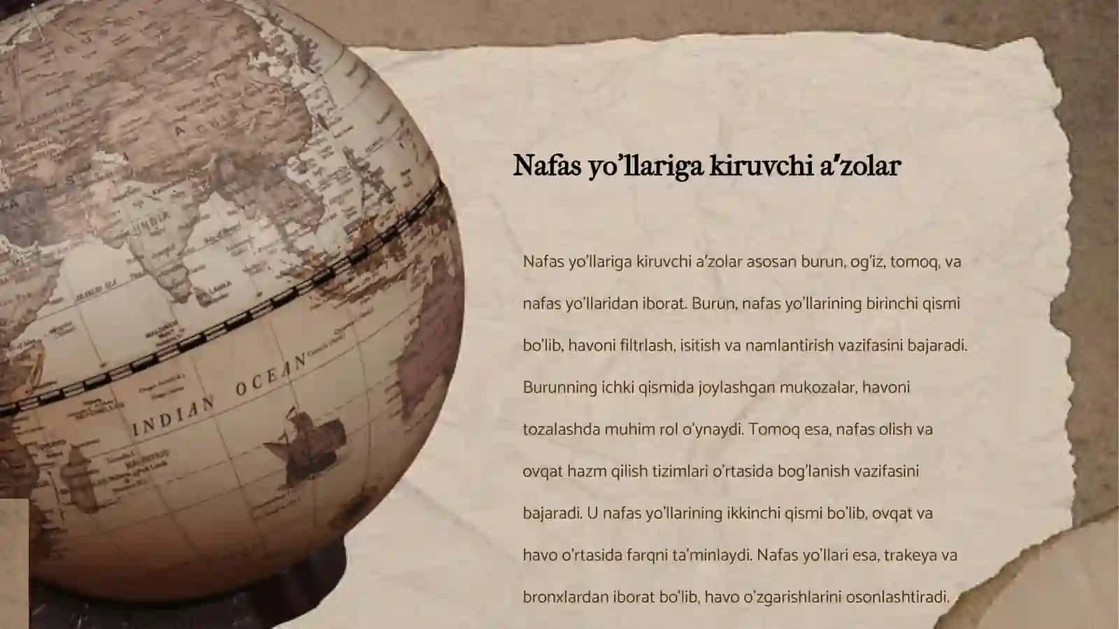 Nafas yo'llariga kiruvchi aʼzolarining tuzilishi va turlari 4