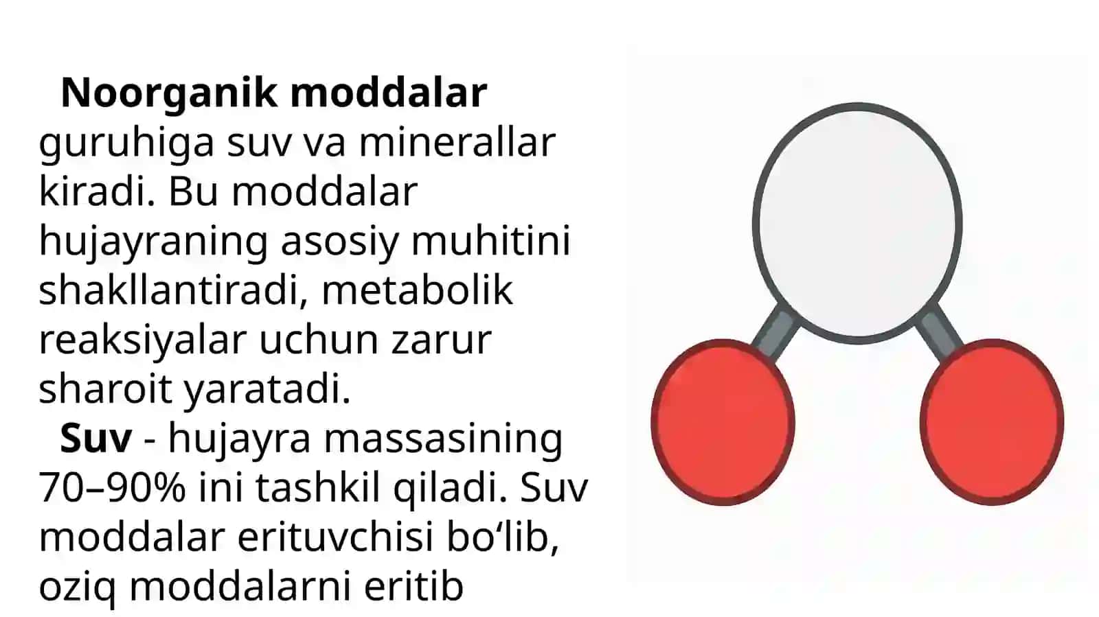 Òsimliklar hujayrasining kimyoviy tarkibi 4