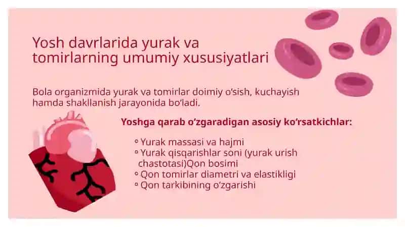 Qon aylanish tizimi 4