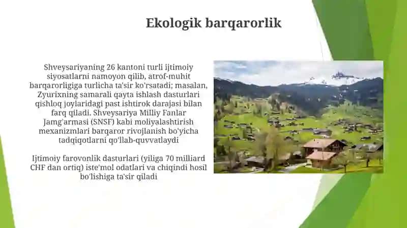 Shvetsariyada ijtimoiy siyosat 4