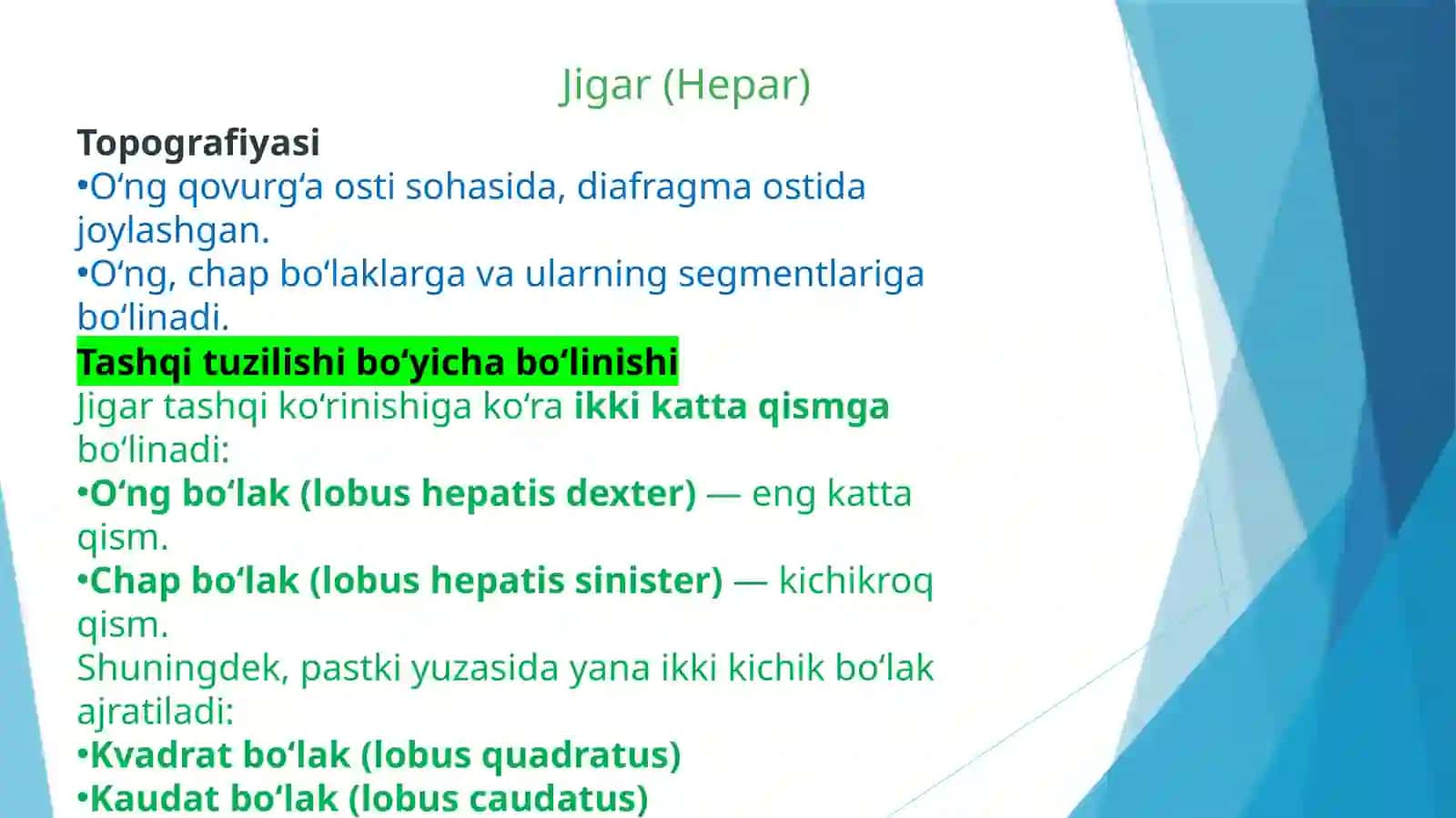 oxta qorin boʻshligʻi yuqori azolari haqida tuliq malumot 4