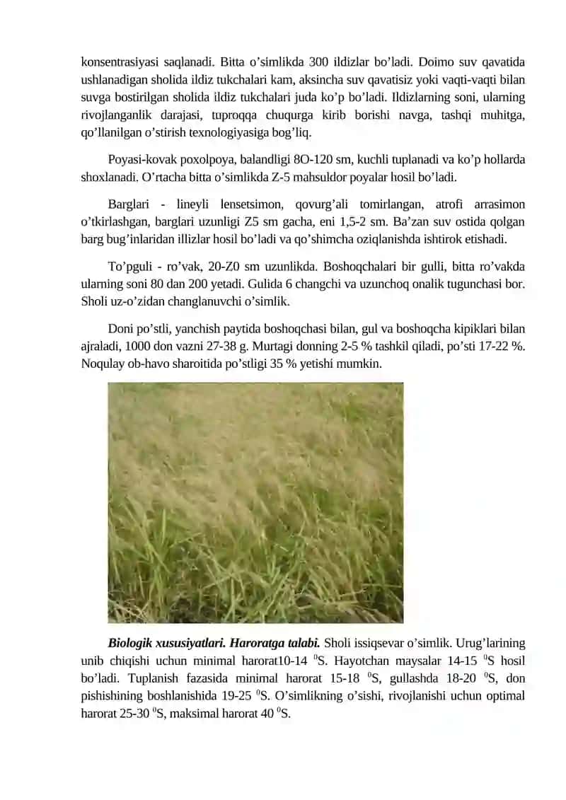 SHOLI BIOLOGIYASI VA YETISHTIRISH TEXNOLOGIYASI 4