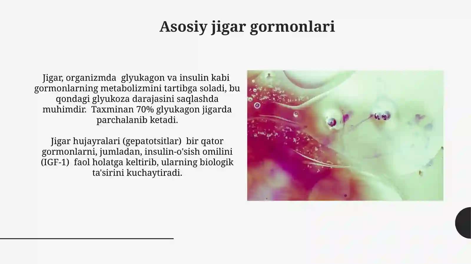 Jigarda gormonlarni zararsizlantirilishi,klinik ahamiyati 4