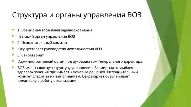 Всемирная организация здравоохранения 4