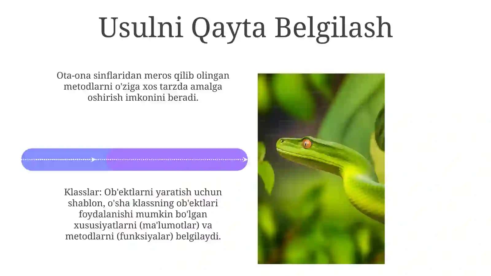Python dasturlash tilida Sinflar va Ob'ektlar 4