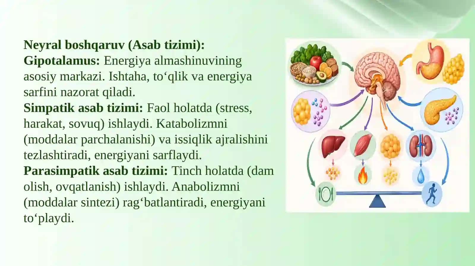 Energiya almashinuvi boshqarilishi 4