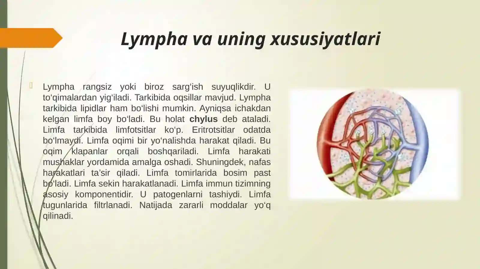 Bosh va bo’yin sohasi limfa tizimi. 4