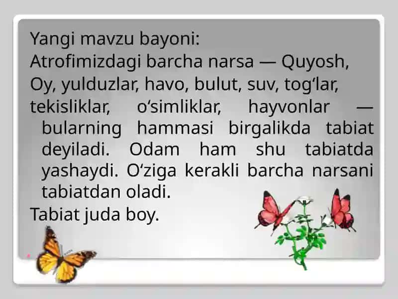 Insonvatabiat 4