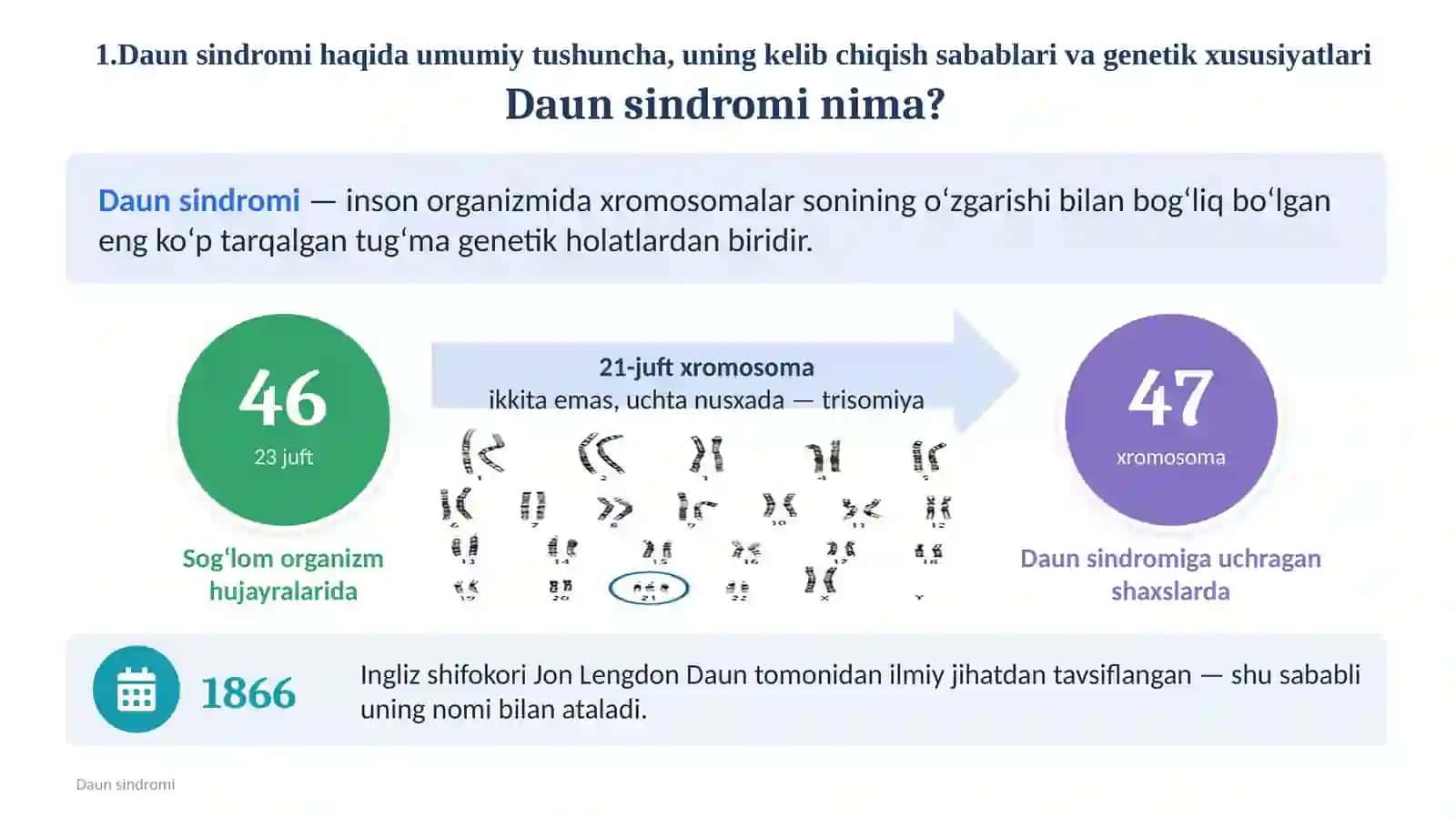 Daun sindromi  Daun sindromi haqida to‘liq ma’lumot         Daun sindromi bo‘lgan bolalarni tarbiyalash va inklyuziv ta’lim 4