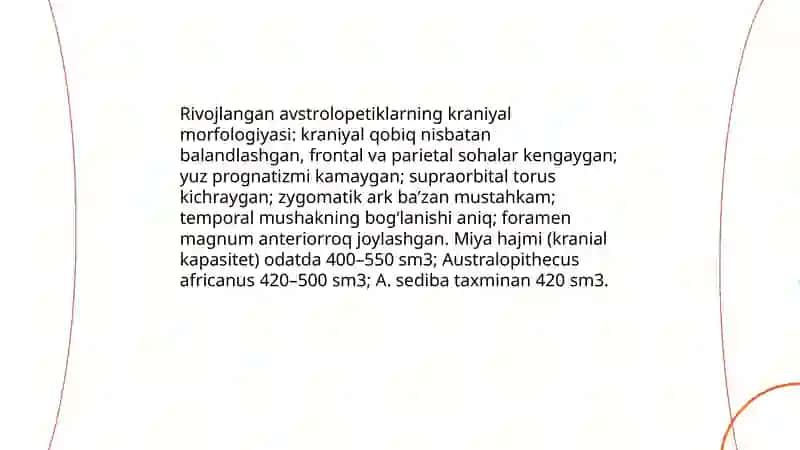 Rivojlangan avstrolopetiklar 4