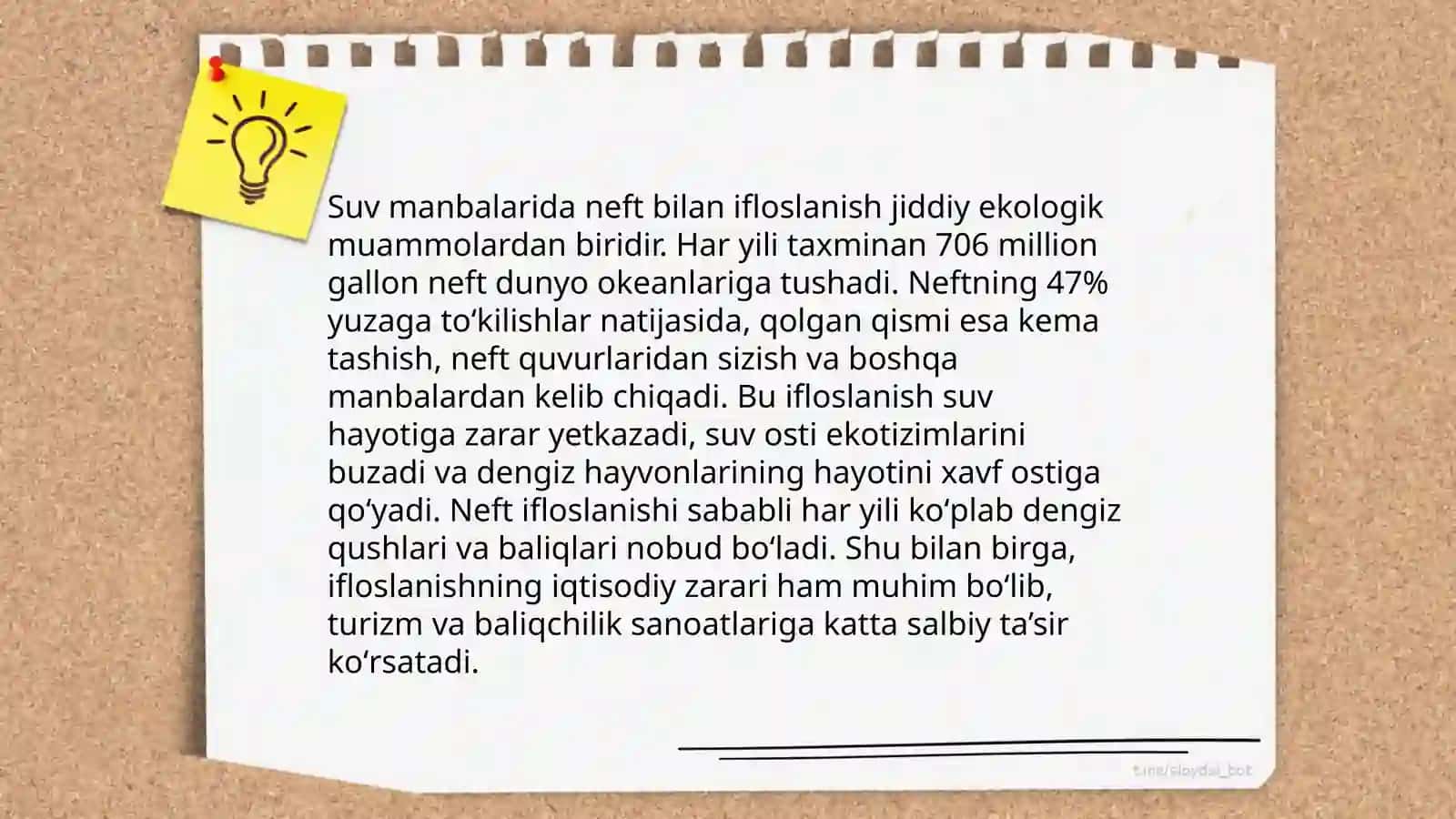 Neft bilan ifloslanish 4