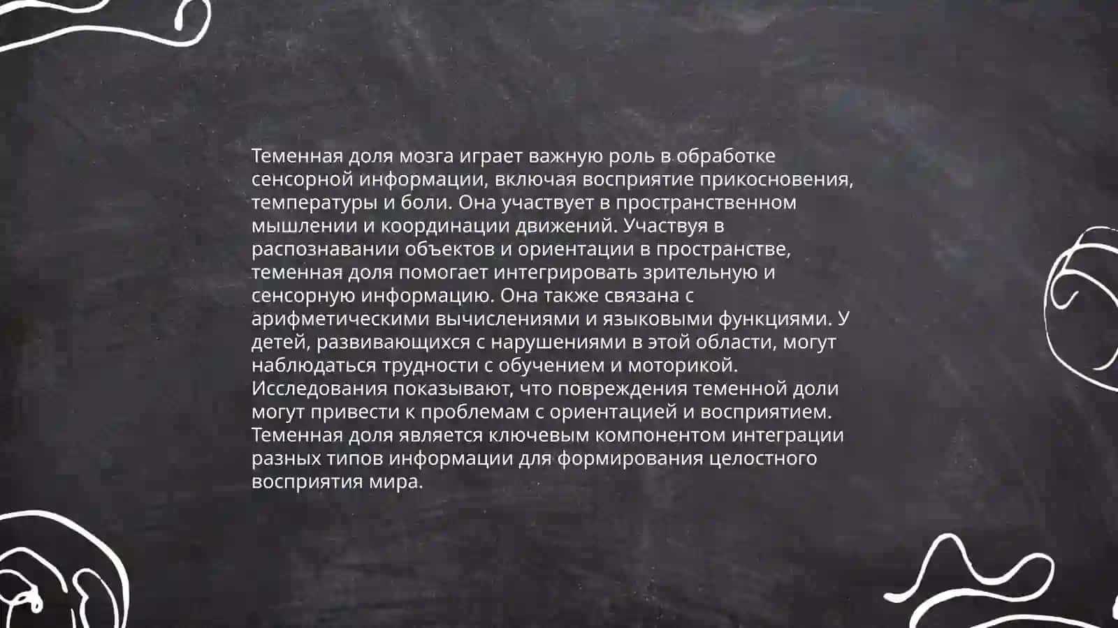 Изучение деятельности разных участков мозга 4