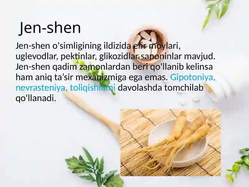 Shizandra (limonnik) mevalari 4