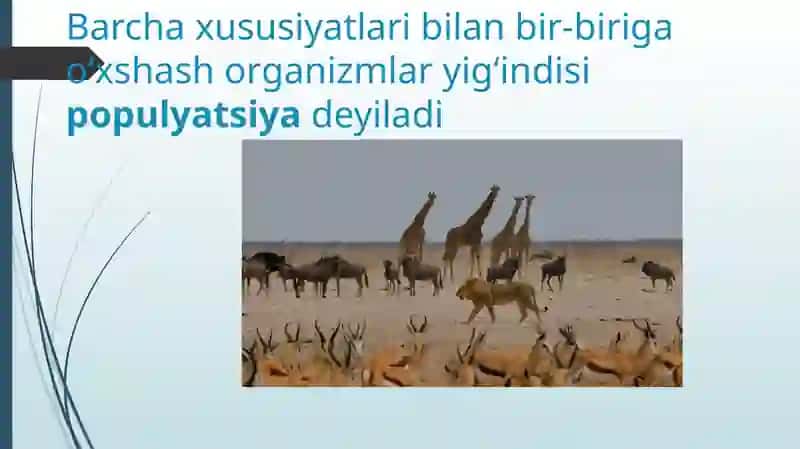 EKOSISTEMALARDAGIO‘ZARO MUNOSABATLAR 4
