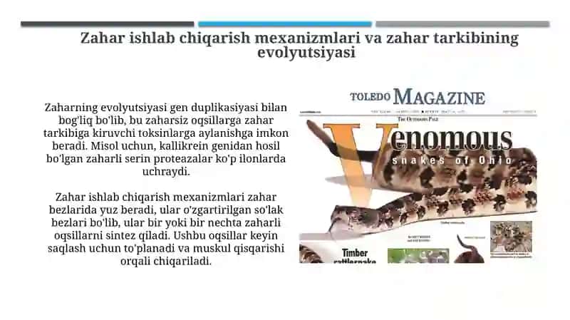 Zaharli umurtqali hayvonlarning sistematikasi va evolyutsiyasi 4