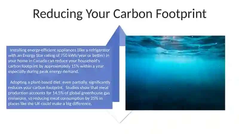 Creating a Sustainable Future Campaign 4