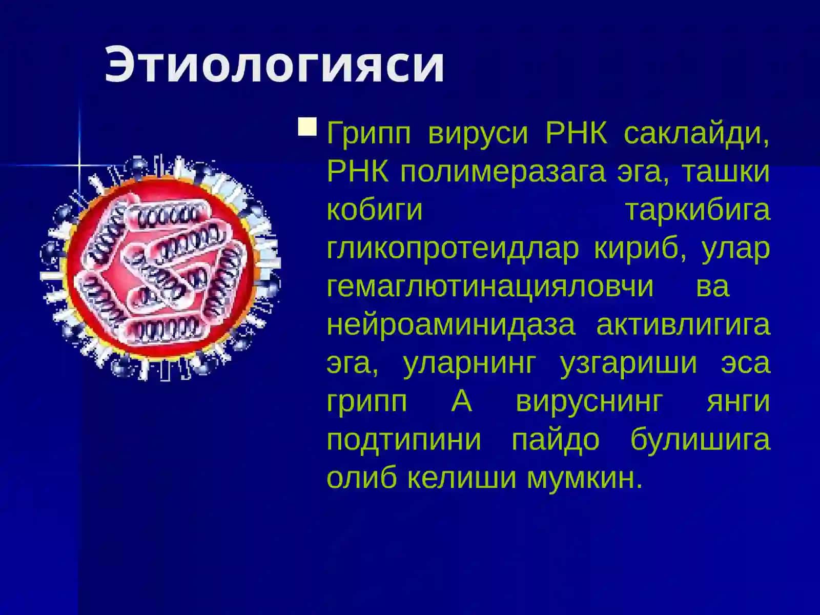 Грипп в абошқа ўткир респиратор вирусли касалликлар 4