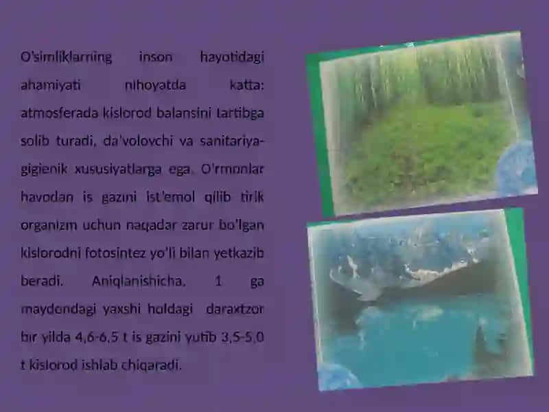 BIOLOGIK RESURS MANBALARINI IZLAB TOPISH VA QAYTA TIKLASH 4