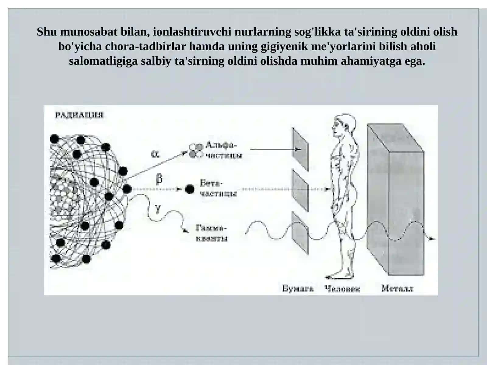 Biologiya - Radiatsion gigiyena 4