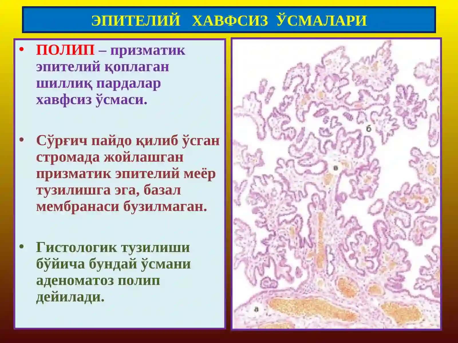 ПАТОЛОГИК АНАТОМИЯ 4