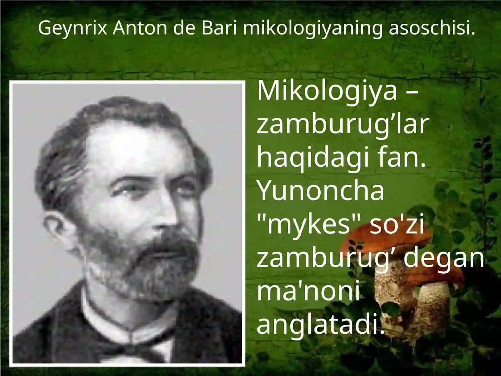 ZAMBURUG‘LARDAN PREPARAT TAYYORLASH VA BO‘YASH USULLARI 4