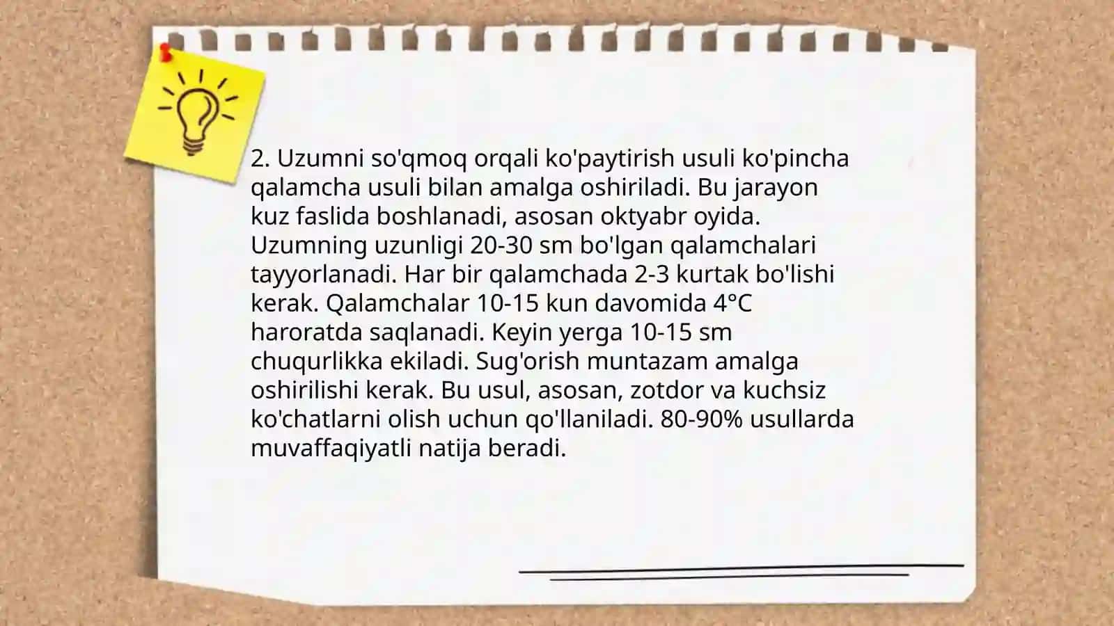 Uzumni noanaviy usulda koʻpaytirish usullari 4