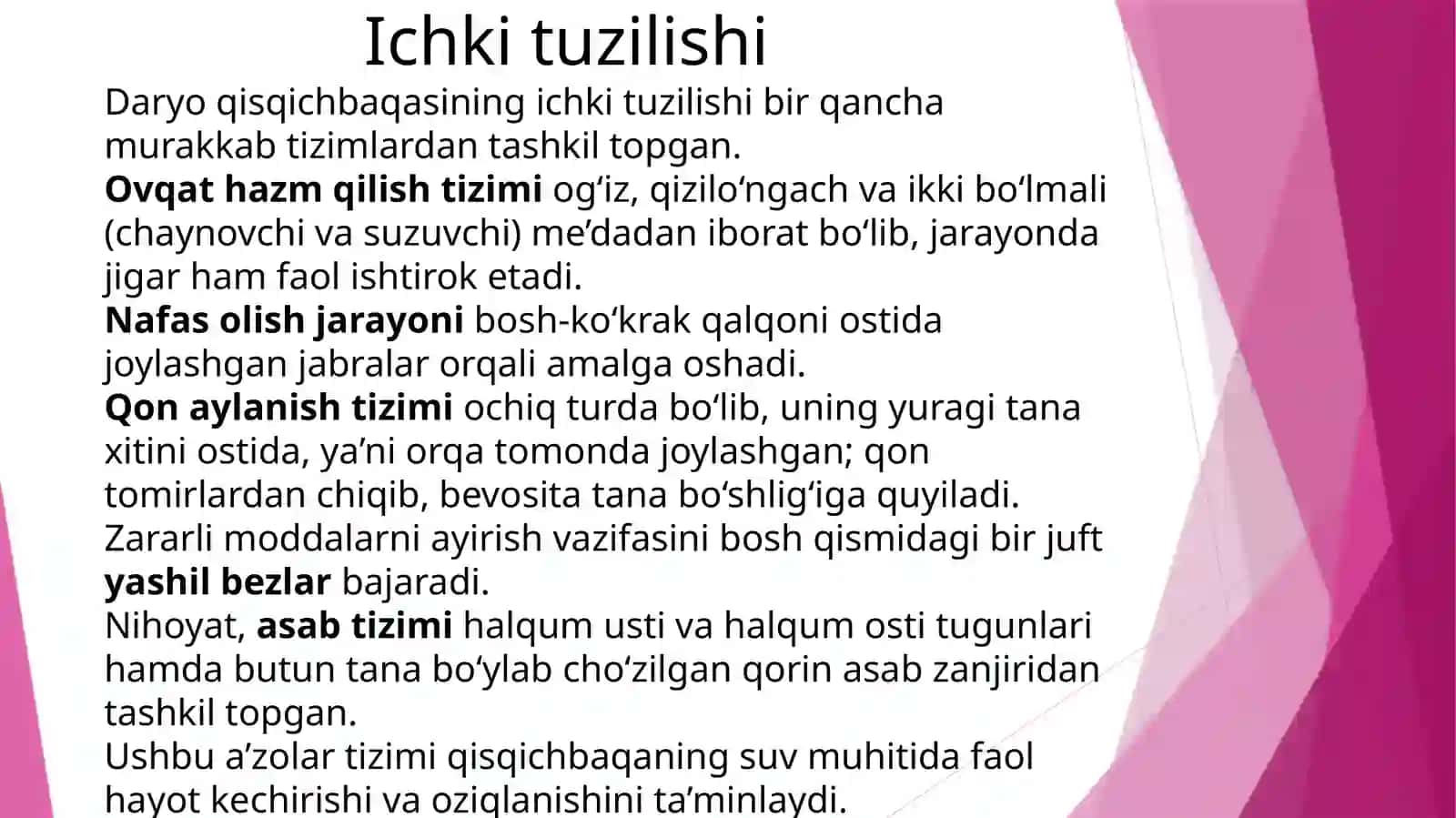 Daryoqisqichbaqasi 4