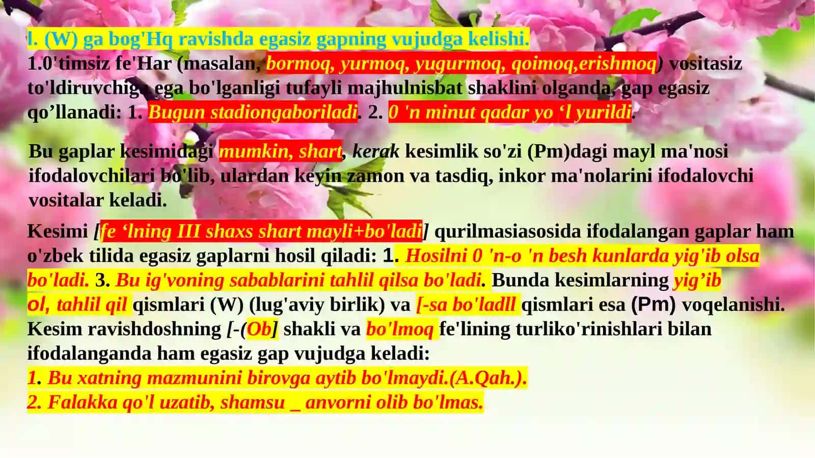 Ega va uning ifodalanishi 4