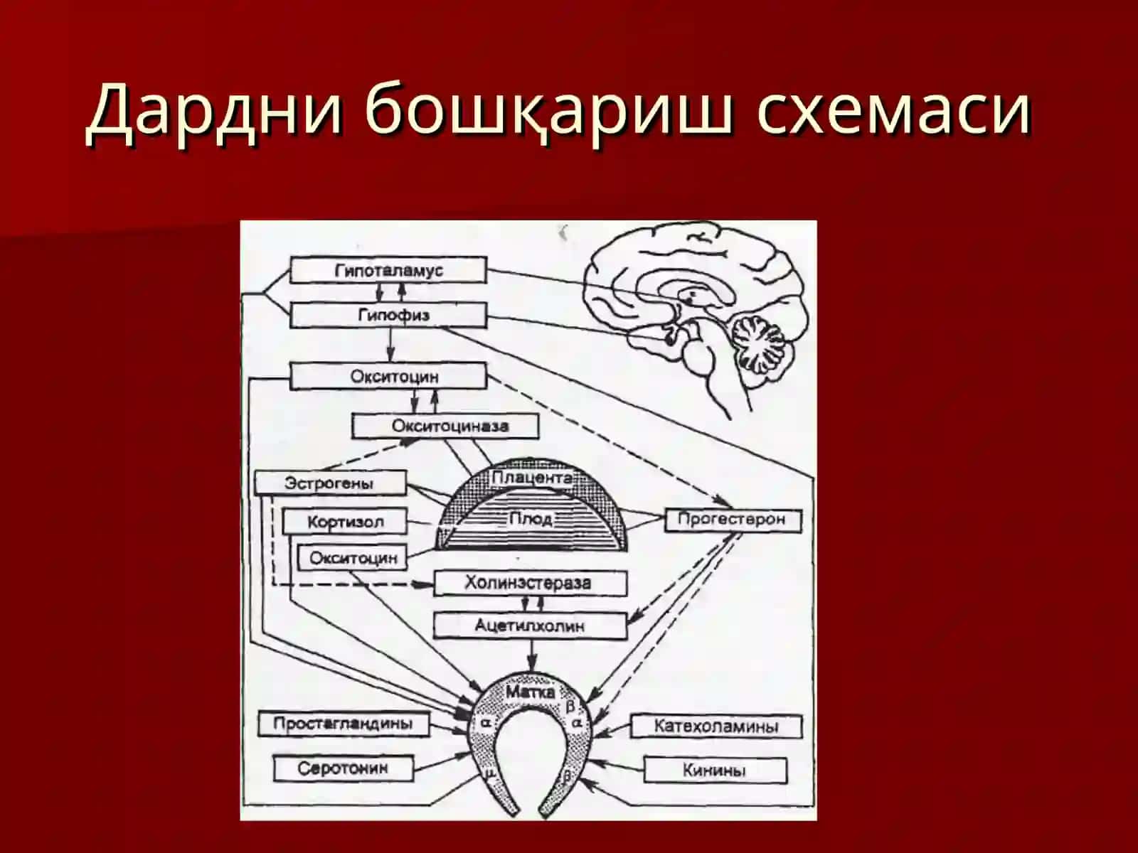 IVкурсДАРД ТУТИШНУКСОНЛАРИ 4