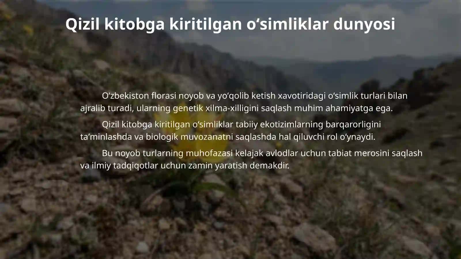Oʻzbekiston qizil kitobiga kiritilgan oʻsimliklar 4