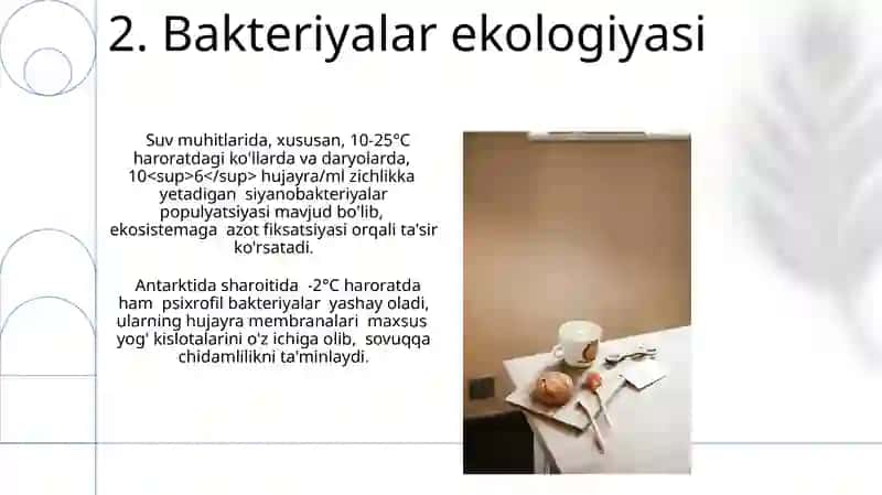 Bakteriyalar fiziologiyasi va hayot faoliyati 4