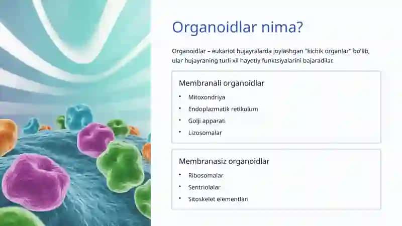 Sitoplazma va Organoidlar: Hujayra ichidagi hayot 4