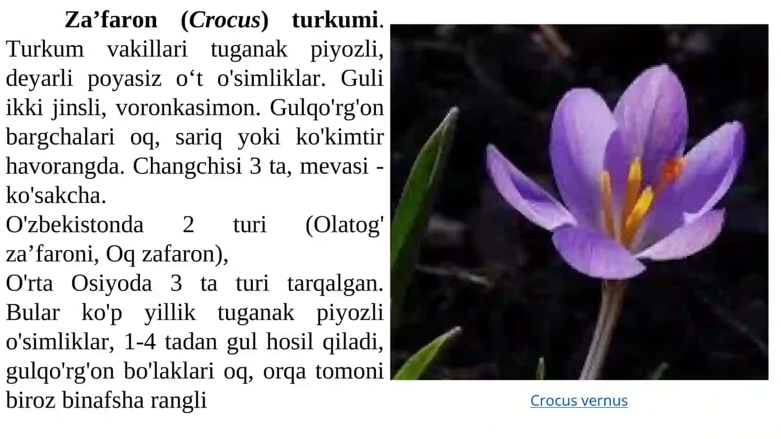 Sapsardoshlar oilasi 4