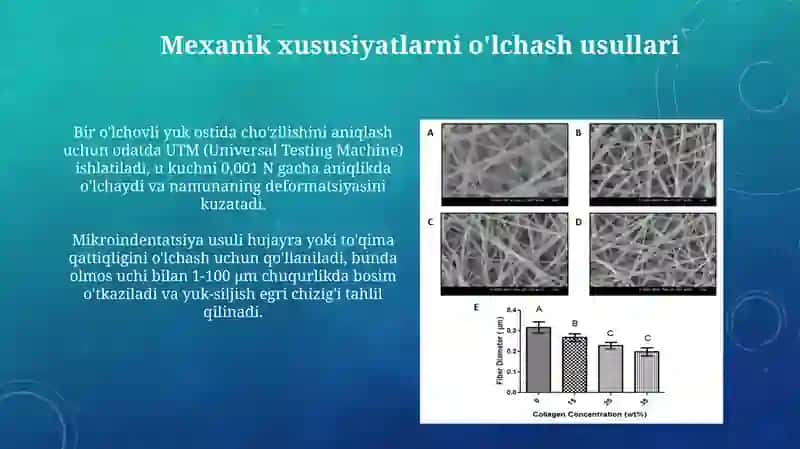 Biologik to'qimalarning mexanik xossalari Va ularning fiziologikahamyati 4