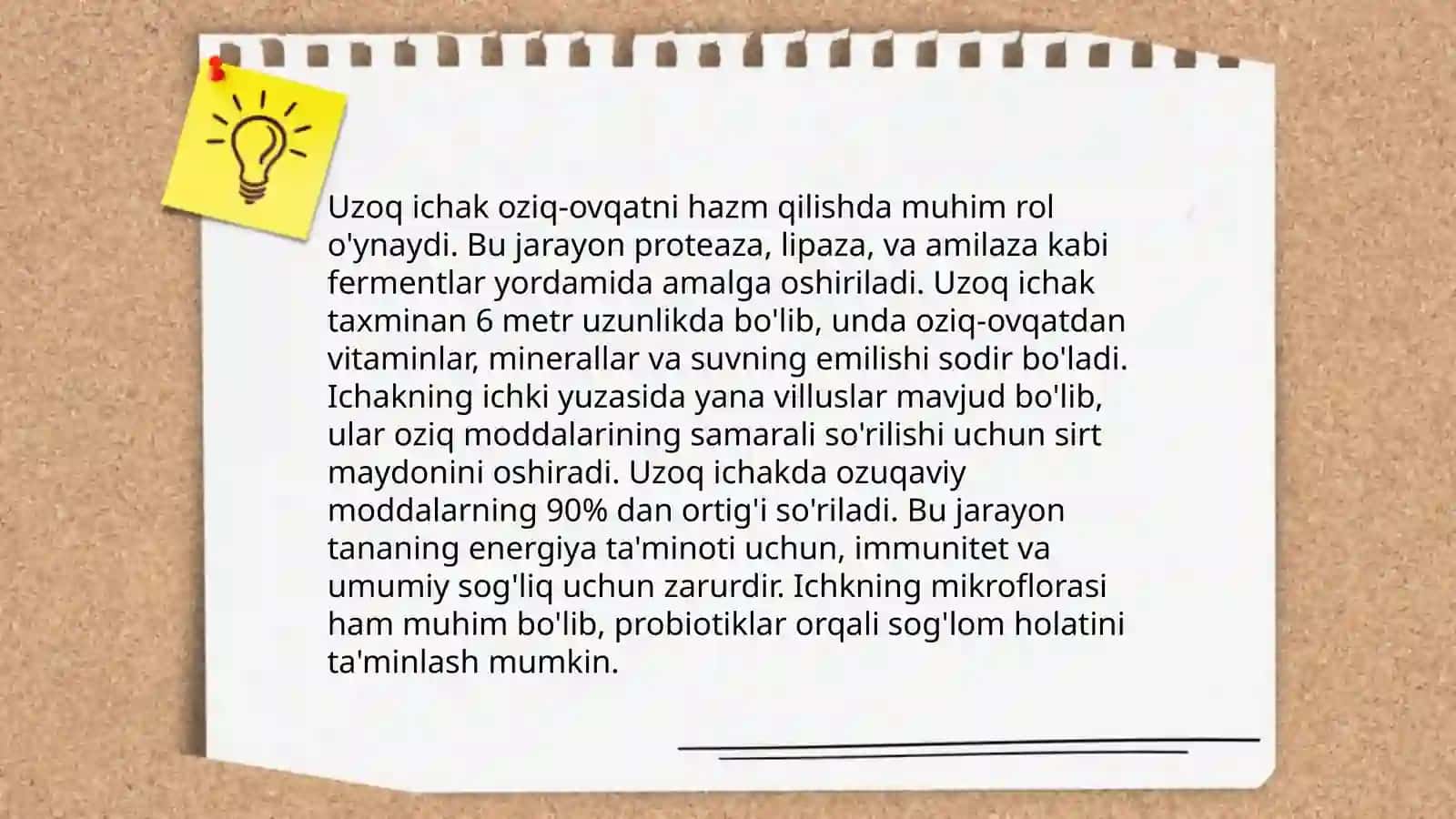 Oqsil hazm qilish jarayoni 4